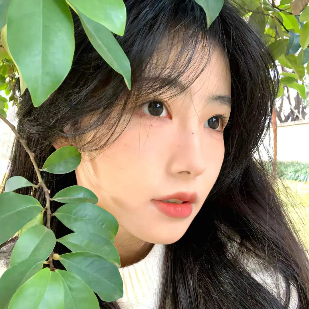 山里红